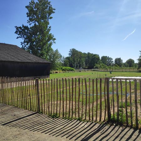 'T Dagwant Villa Geraardsbergen Luaran gambar